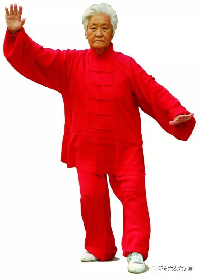 【每周一课】大卫老师杨氏85式太极拳(34)退步跨虎|杨大卫|太极拳