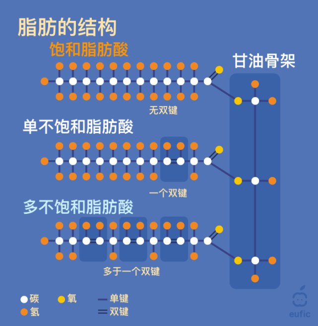 插图 脂肪的结构和分类脂肪酸除了饱和和不饱和之外,还可以根据脂肪酸