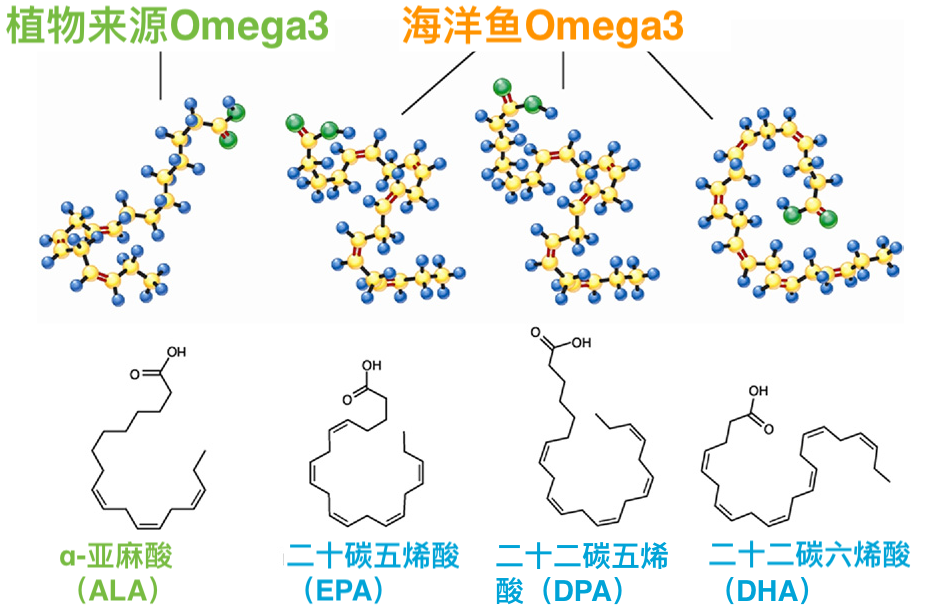 西希营养学第116篇不吃三文鱼也能获得的omega3来源