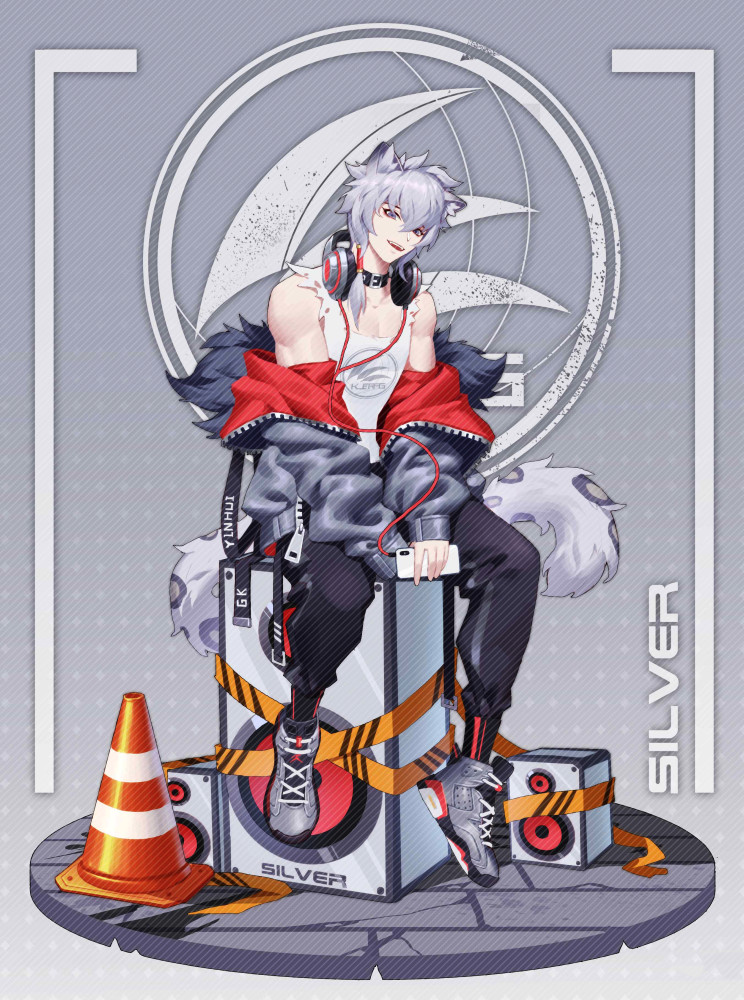 着菲林族的明显特征,是雪域小国三大家族之一希瓦艾什家族的现任族长