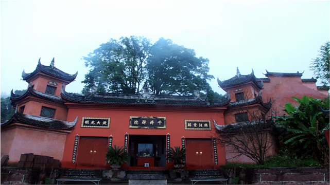 千佛寺蒙山茶是一种生活是一种精神更是一种文化在名山  "人茶与共"