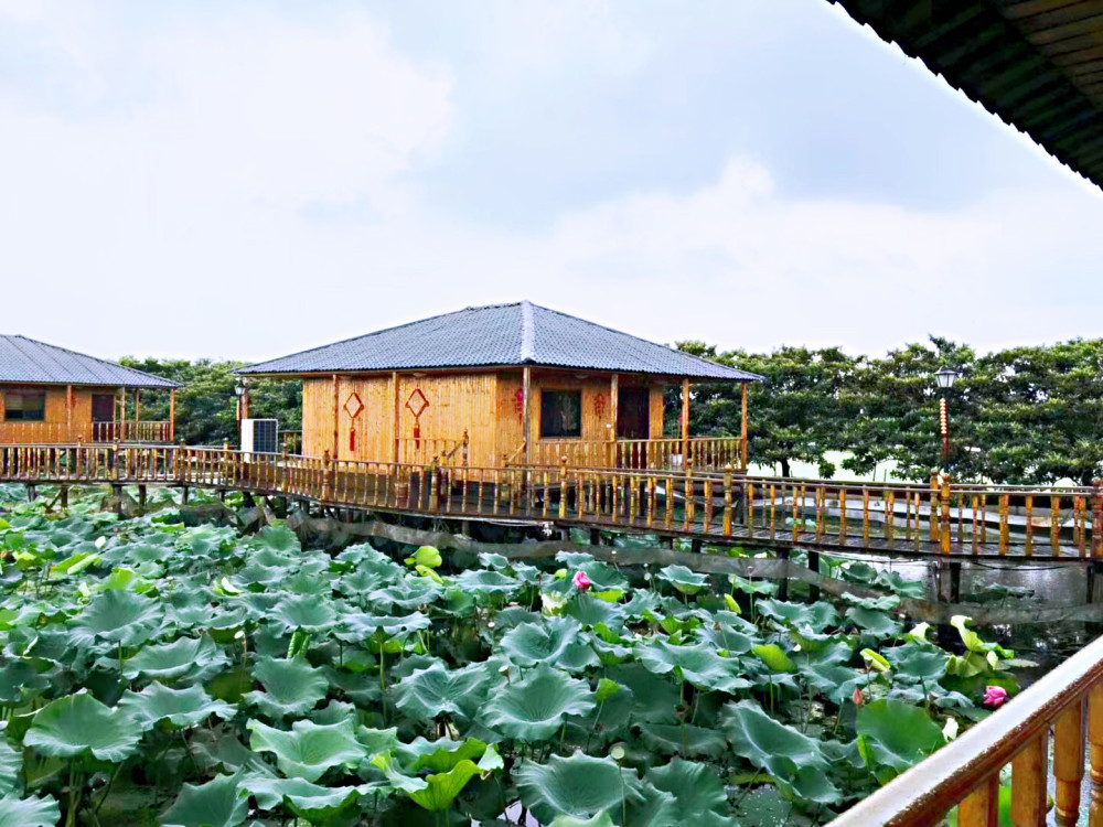 这家水上农家乐房间全是各种特色全木水屋阳台即可垂钓极具特色