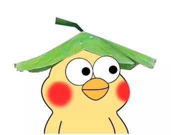 小黄鸭表情包一起蹦迪吗