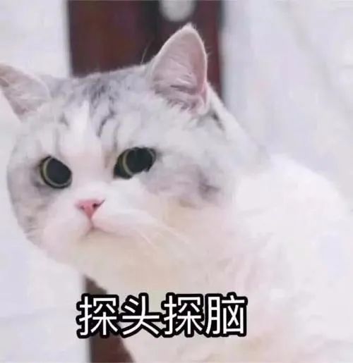 没了热搜姐姐们都这么刚啊！佟丽娅霸气怼网络黑子，郑爽开撕前商务团队-第二张