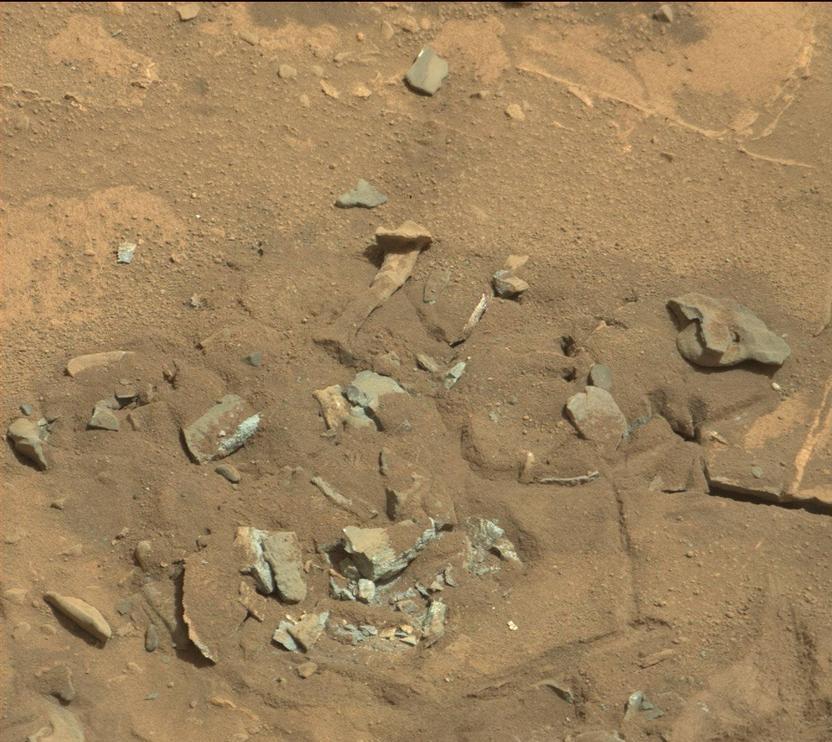 在颠覆我们对地外生命的认识,但是似乎科学家们在研究火星探测器之中