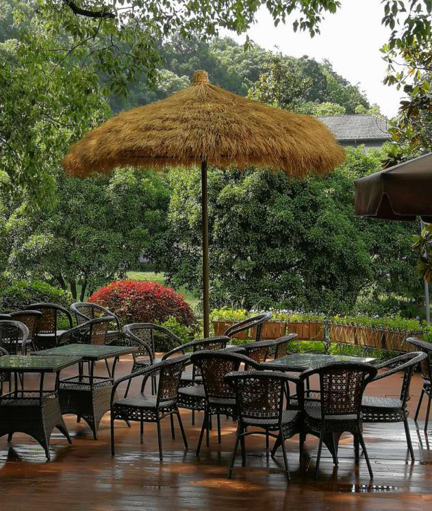 【奋力争先创优】蝶来浙江宾馆造血自救,打出创新组合拳