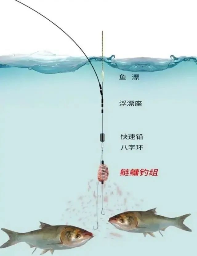 手竿垂钓鲢庸,四招解决锚鱼现象,四招攻克有信号打不到鱼的问题_腾讯