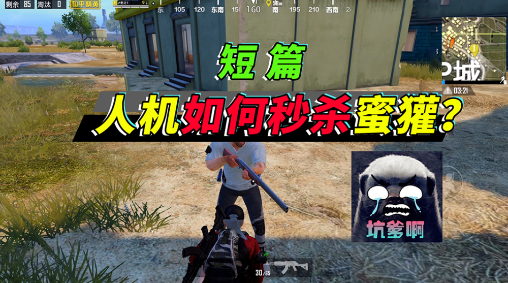 突击手蜜獾正式露脸,载具贴膜第一人,水友赛更是有趣_腾讯新闻