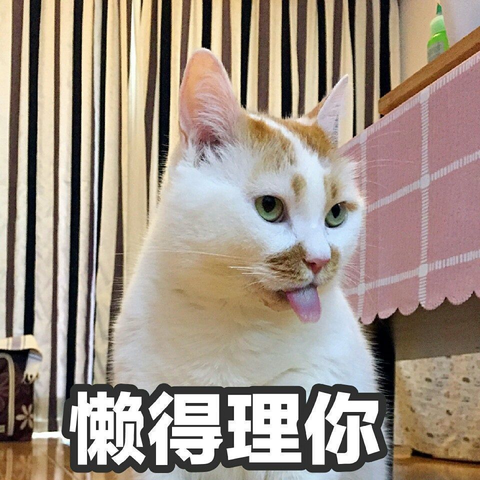 表情包