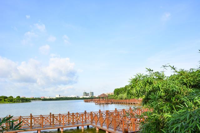 除了釣魚,在東坑生態農業園,還可以摘火龍果,草莓等,非常適合親子週末