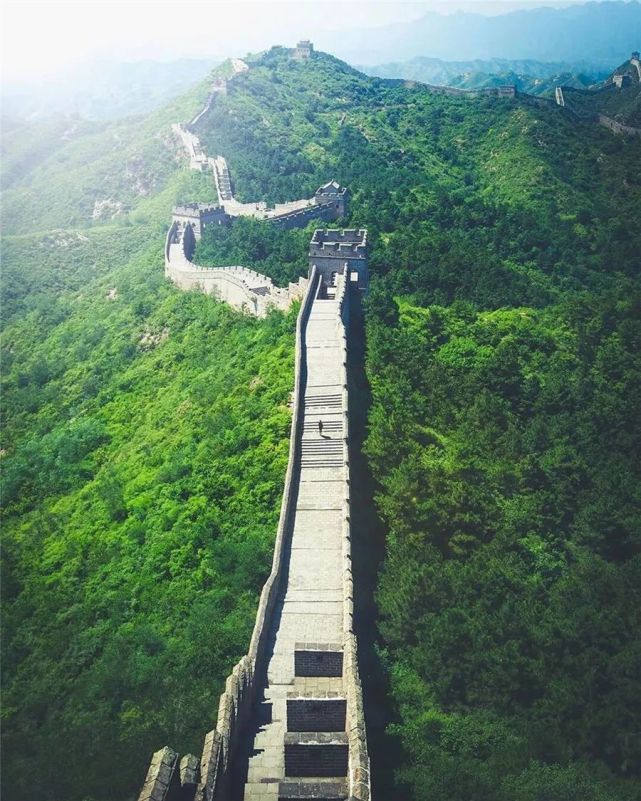 这么绿,这么美!