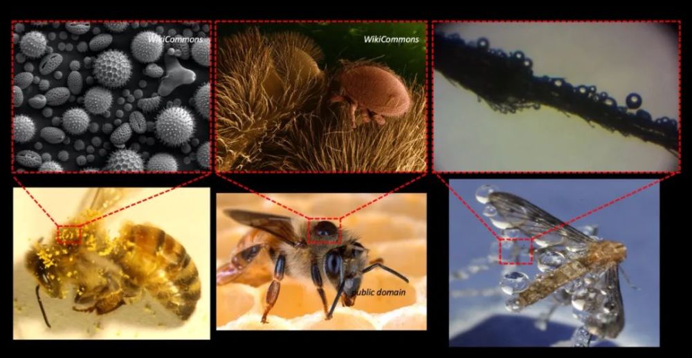 科学家|一个浪费科学家的自白：为什么我要研究这些“无用之物”？