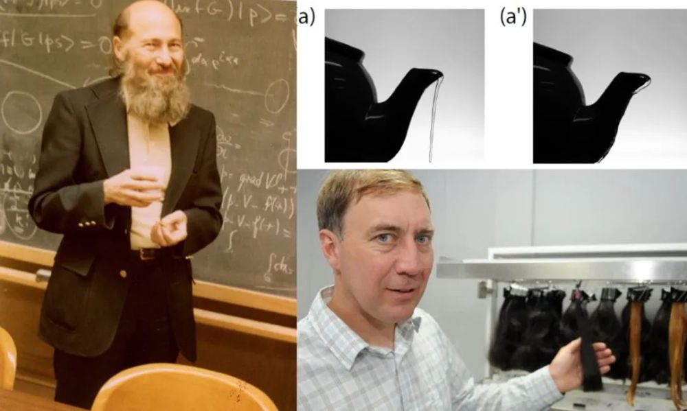 科学家|一个浪费科学家的自白：为什么我要研究这些“无用之物”？