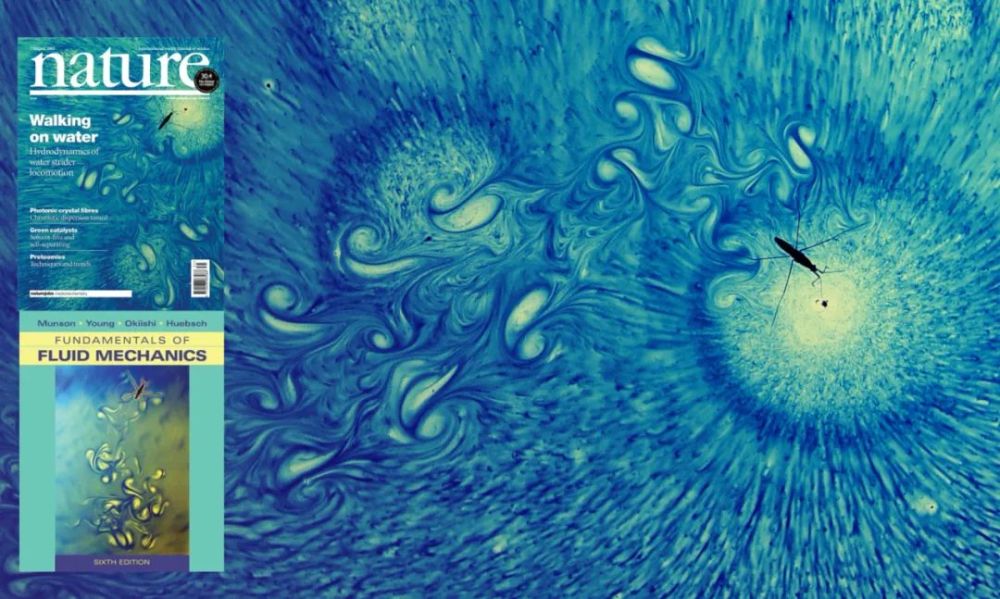 科学家|一个浪费科学家的自白：为什么我要研究这些“无用之物”？