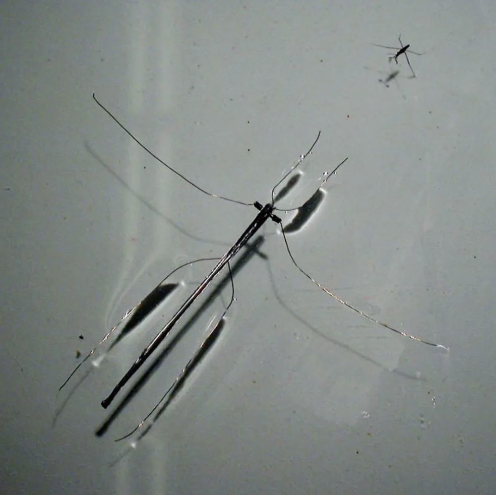 科学家|一个浪费科学家的自白：为什么我要研究这些“无用之物”？