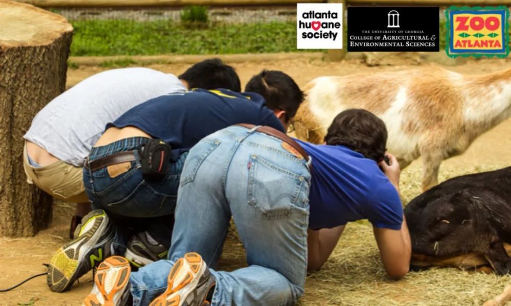 科学家|一个浪费科学家的自白：为什么我要研究这些“无用之物”？