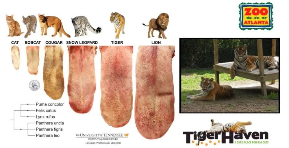 科学家|一个浪费科学家的自白：为什么我要研究这些“无用之物”？