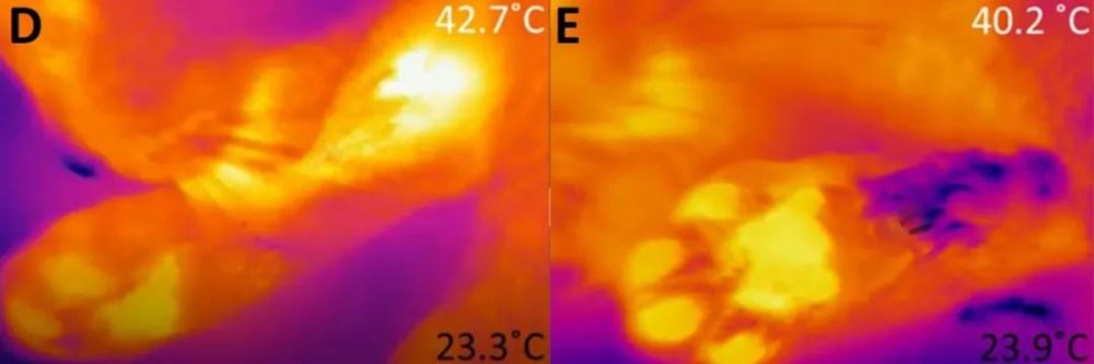 科学家|一个浪费科学家的自白：为什么我要研究这些“无用之物”？