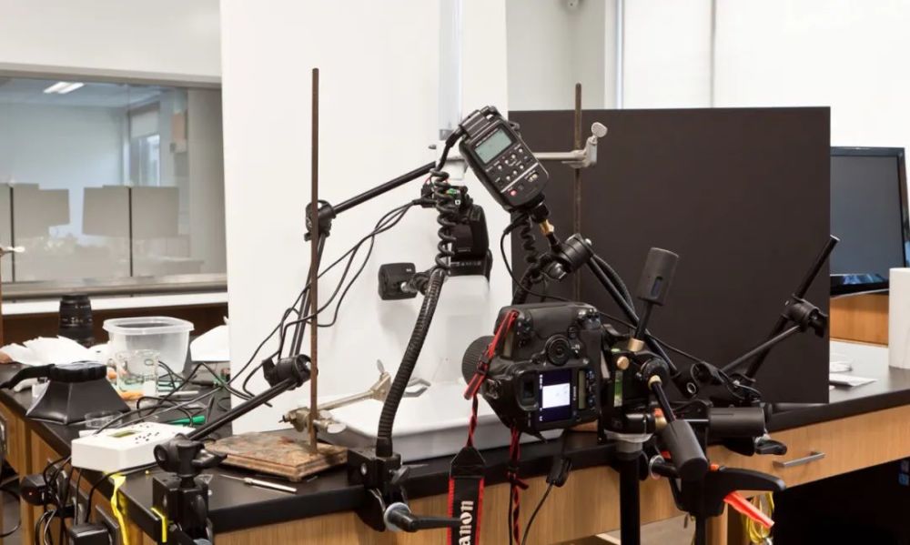 科学家|一个浪费科学家的自白：为什么我要研究这些“无用之物”？