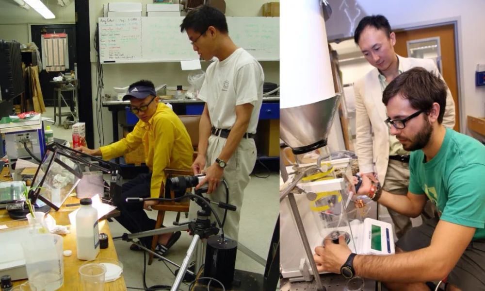 科学家|一个浪费科学家的自白：为什么我要研究这些“无用之物”？