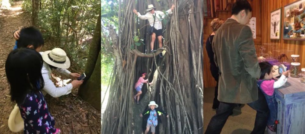 科学家|一个浪费科学家的自白：为什么我要研究这些“无用之物”？