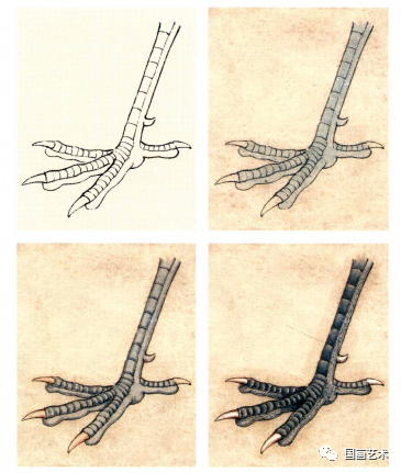 工筆鳥爪的五種畫法