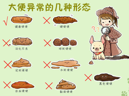 武汉国医堂:大便不成形,平时要注意什么?|国医堂|结肠炎