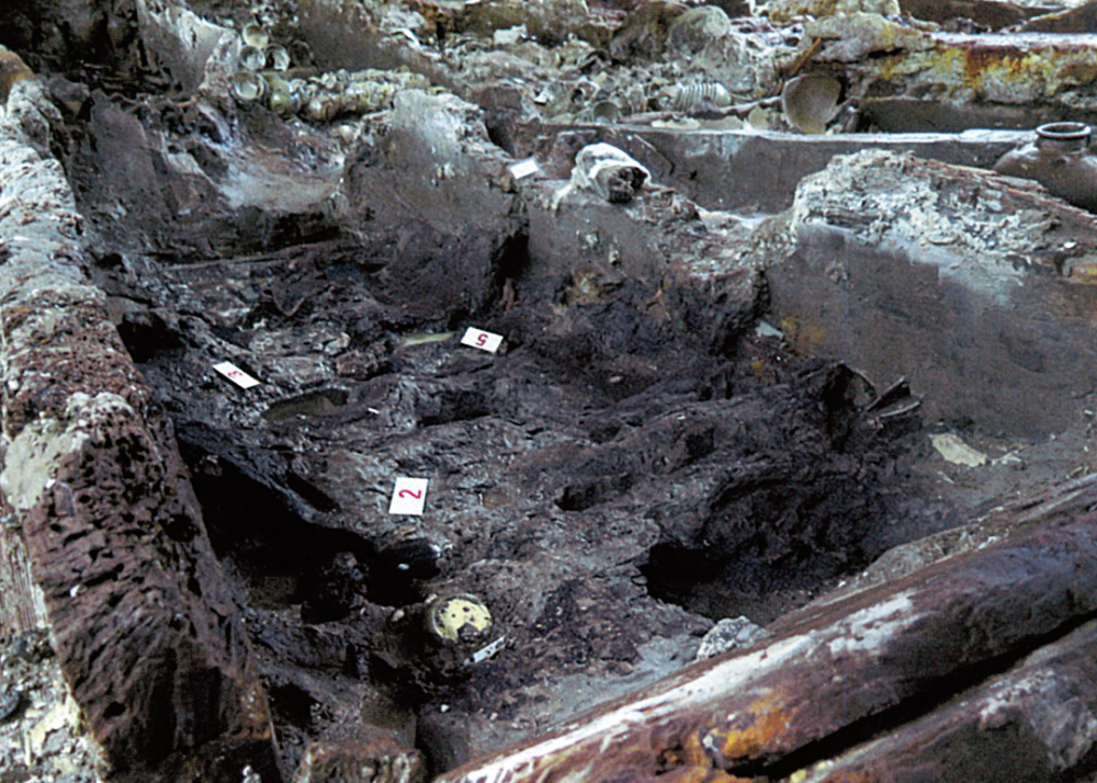 南海ⅰ号|南海Ⅰ号：一艘价值连城的沉船，一段尘封海底的历史