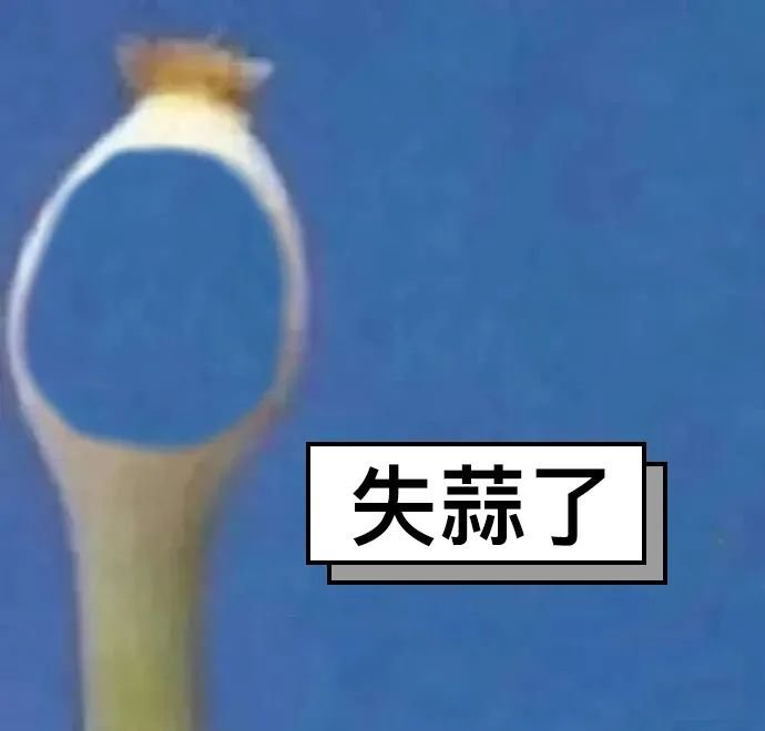 买房该如何选小区?弄懂这5点再下手