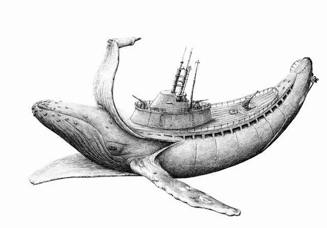 美术生超牛的插画打败国内素描专家老师看了也要佩服