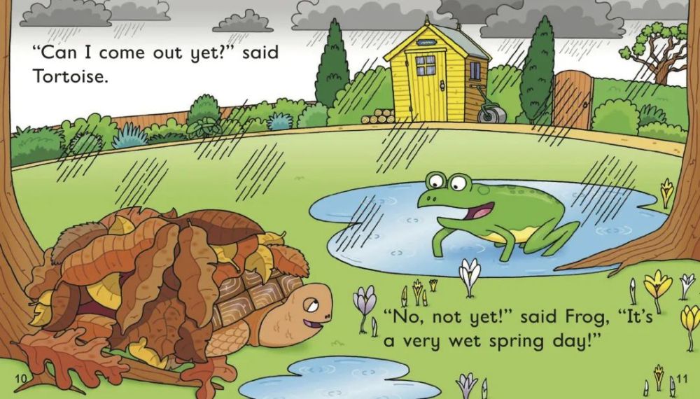 芭迪熊英语tortoisetortoise