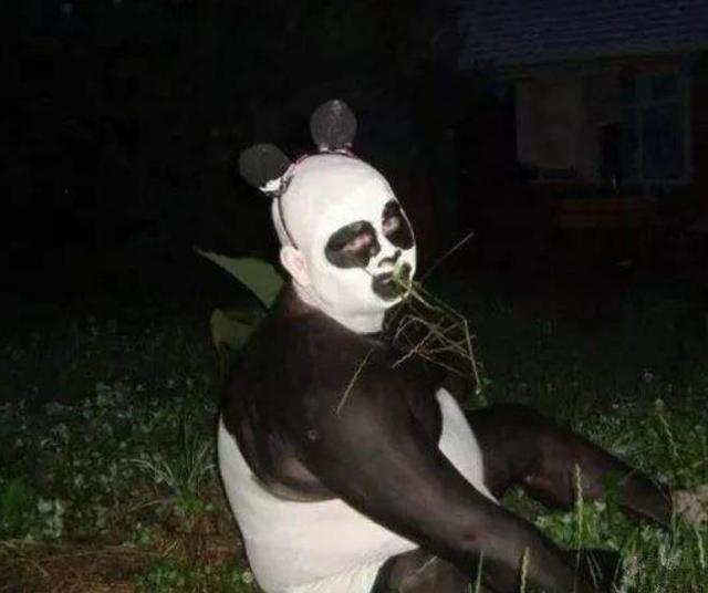 这个国家太逗了,要不到熊猫,让其他动物"假扮熊猫",真辣眼睛_腾讯新闻