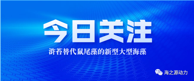 几种饲料原料对刺参幼参生长和体成分的影响 刺参 浒苔 营养 饲料