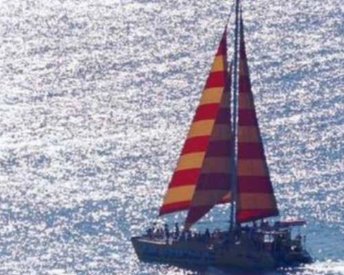 超适合告白的句子 林深时见鹿 老树陪古屋 以及我遇见你 腾讯新闻