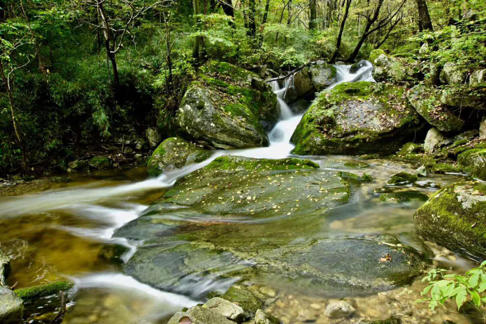 探訪終南山泉水源地,茂林深澗有好水