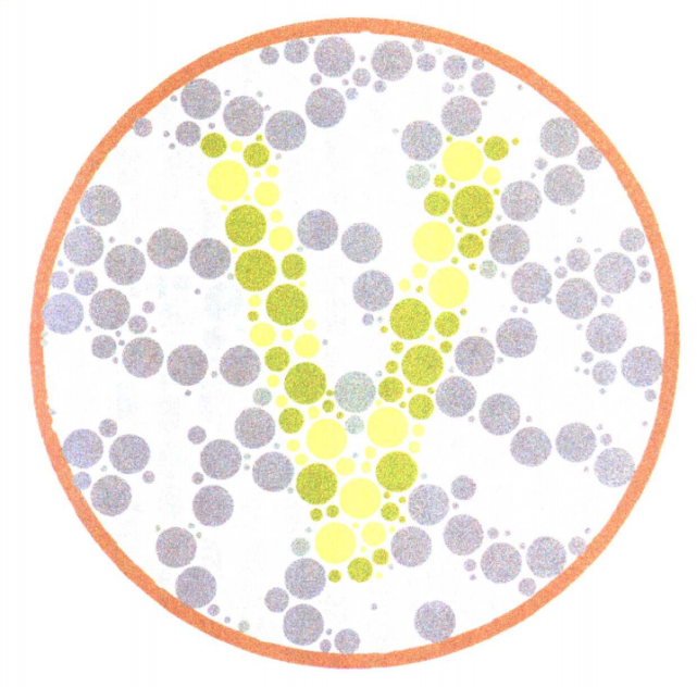 3张色觉测试图 让你拥有一条你朋友的把柄 色盲 英文