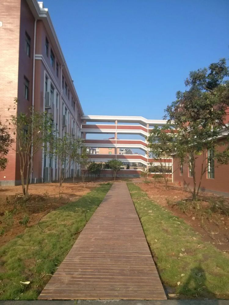 校园环境兰花小学是兰溪首次用市花"兰花"命名的一所小学.