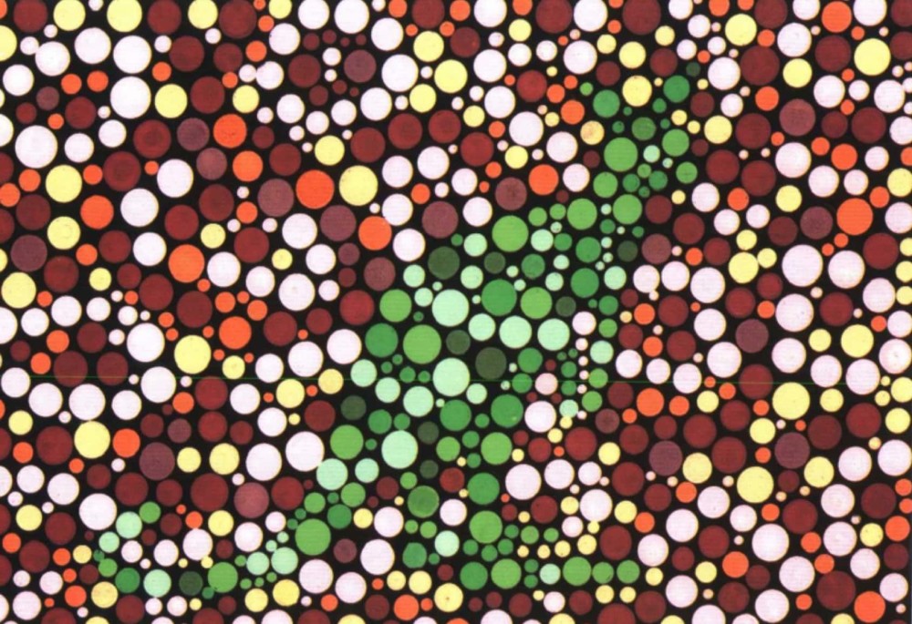 考驾照|考驾照之前，其实还要考一关，很多人却不太清楚