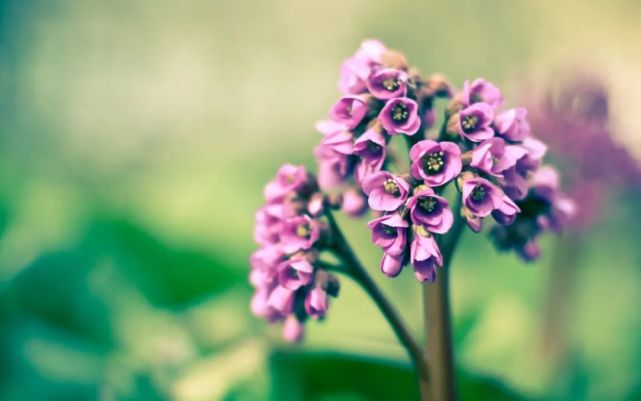 6月17日励志早安心语 心语 彩虹 心境 梦想