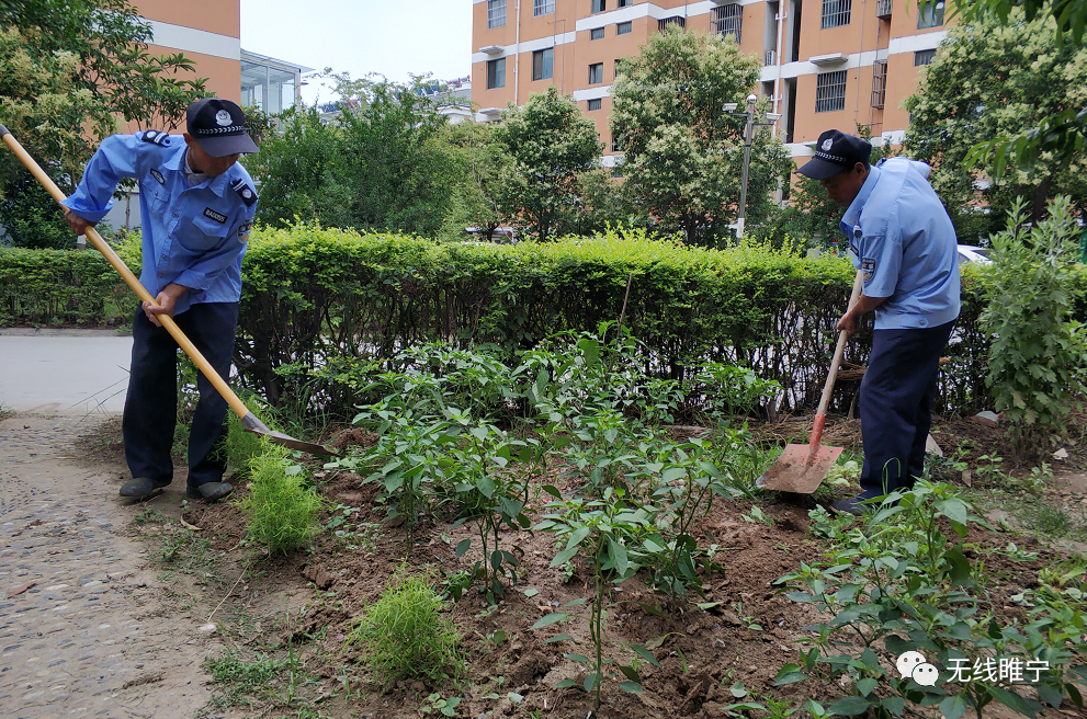 小区里种菜不但影响小区形象而且还侵占了公共利益对待这场创建文明