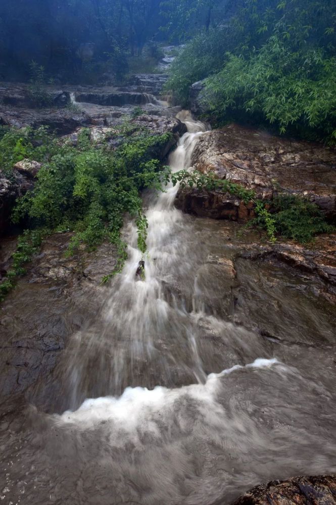 今天雨最大的时候,我们在桃源涧