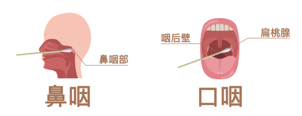 新一轮核酸检测这十类人必须检转发到朋友圈给ta提个醒