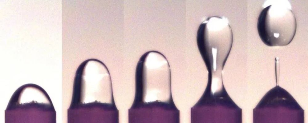 科学家|一个浪费科学家的自白：为什么我要研究这些“无用之物”？