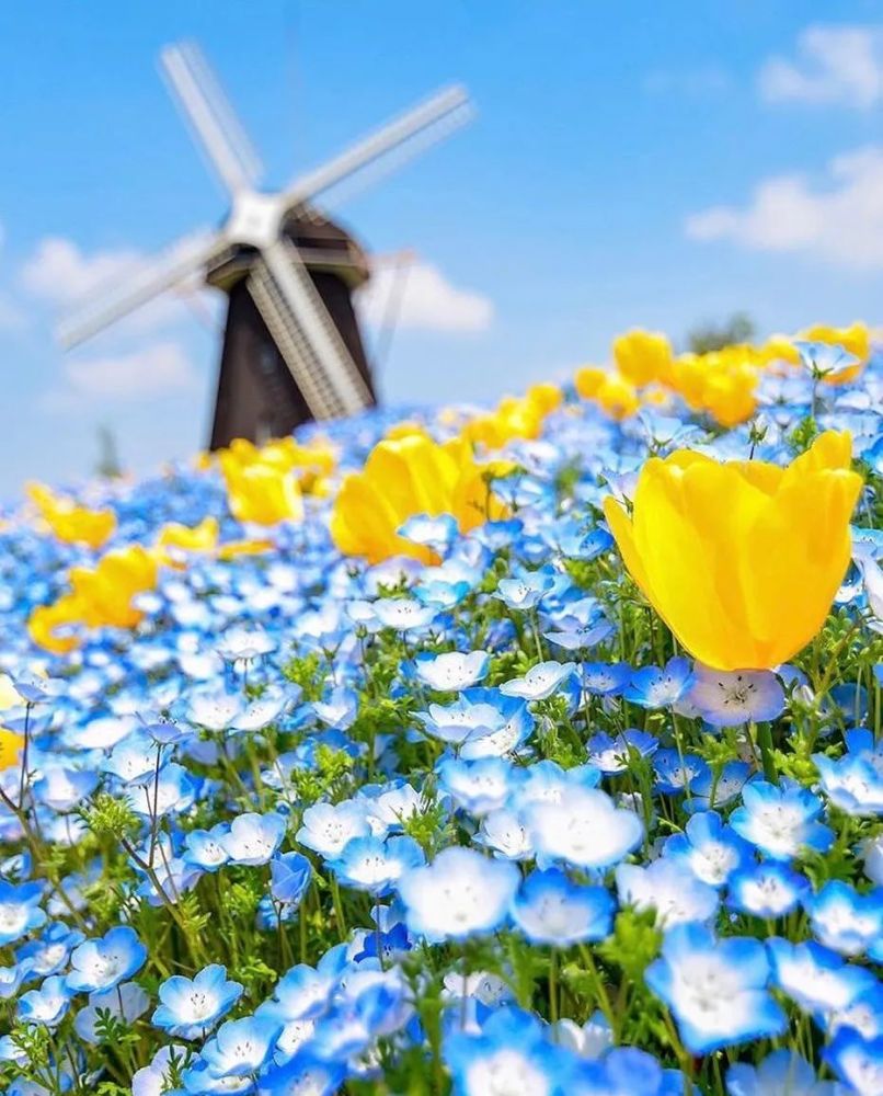 日本人也喜爱6处值得收藏的小众唯美景点 腾讯新闻