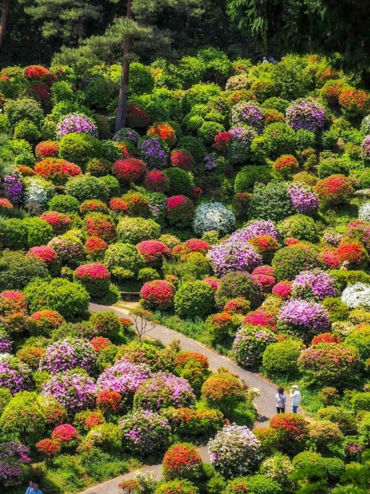 日本人也喜爱6处值得收藏的小众唯美景点 腾讯新闻