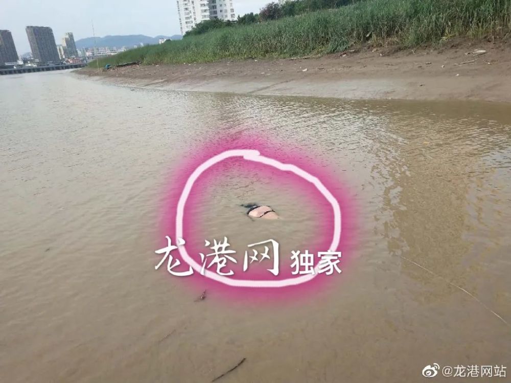 独家龙港某码头发现一具浮尸警方已介入调查