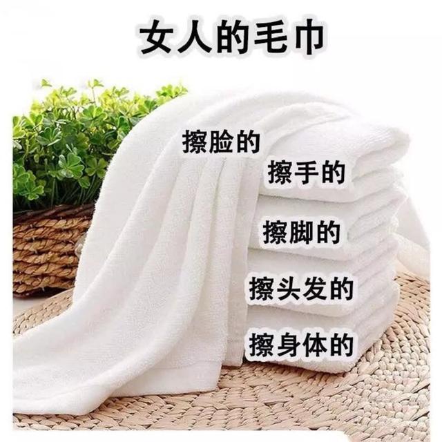 每日一笑：都是身上的一块肉，还分什么高低贵贱？-BB姬