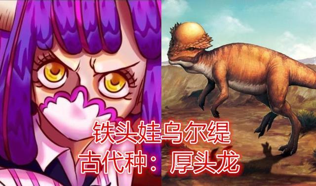 海贼王路飞vs乌尔缇头铁之战路飞以前三次头槌战绩十分彪悍