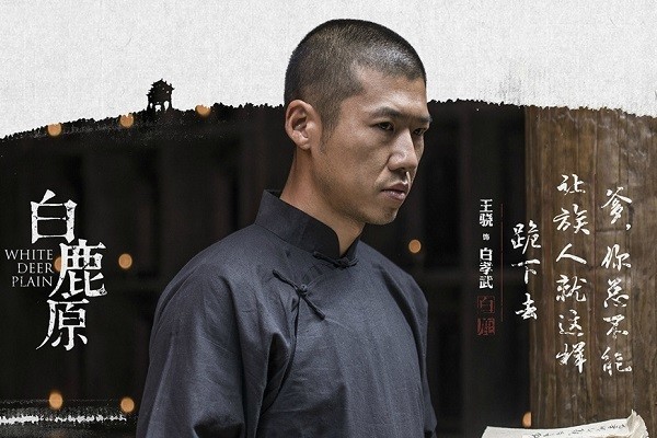 秦海璐,何冰等人主演的史诗巨作《白鹿原》中白嘉轩的儿子白孝武