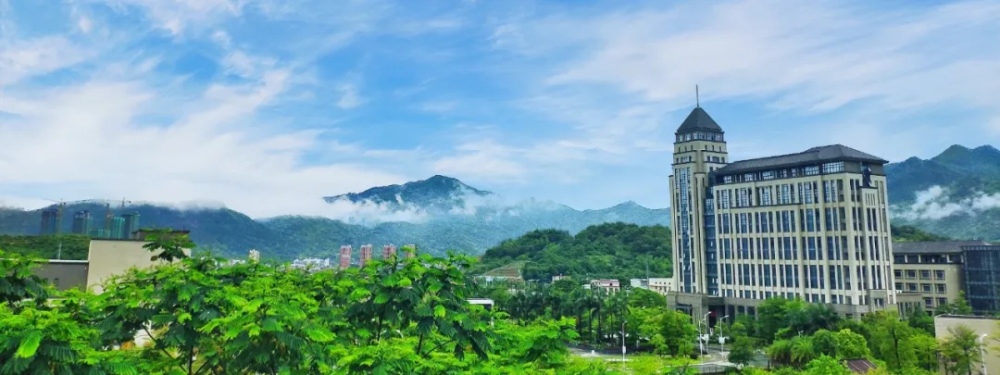 2020福建高考位次排名_快讯!2020福建高考一分一段表出炉!附2019年本一批投